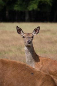 20150621_Sortie_034