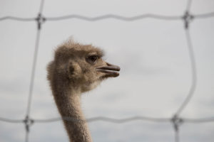 20150621_Sortie_051