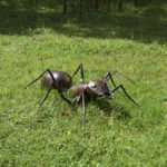 20240831_Sortie-136